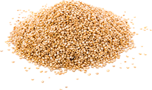 Cereza de café orgánico